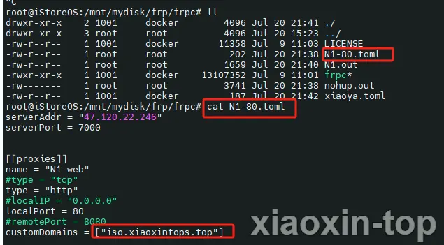xiaoxin-2